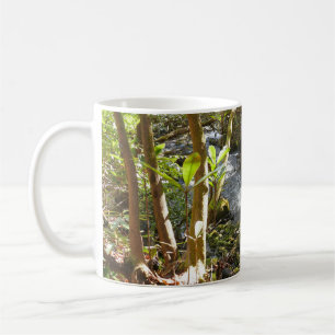 Mingus Creek in den Smoky Mountains Kaffeetasse