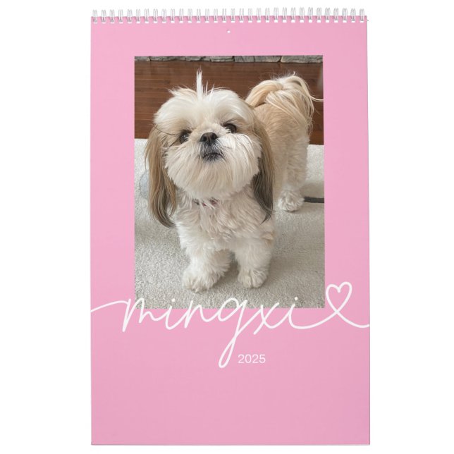 Mingxi-Kalender 2025 Kalender (Titelbild)