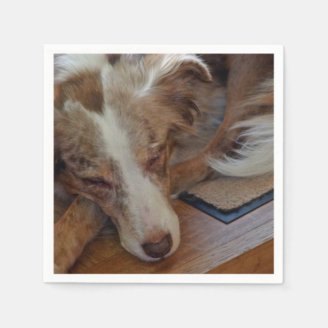 Mini American Shepherd Red Merle Sleeping Serviette (Vorderseite)