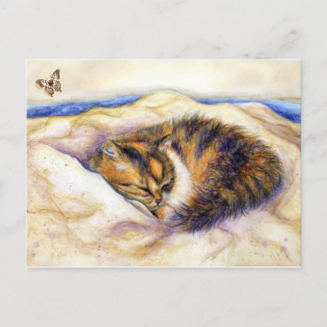 Mini Art Calico Cat Schlafen Postkarte (Vorderseite)
