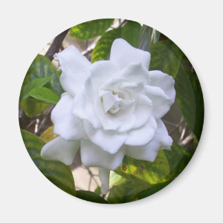Mini Art Gardenia Magnet