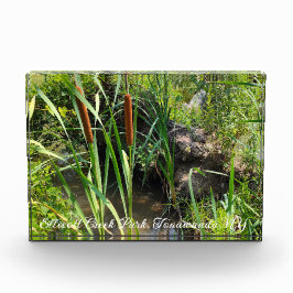 Mini Cattails Lagoon Fotoblock