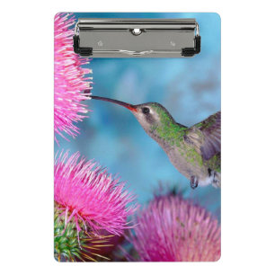 Mini Clipboard/Hummingbird Klemmbrett