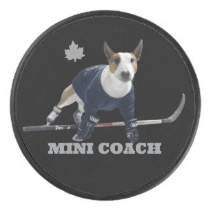 MINI COACH EISHOCKEY PUCK