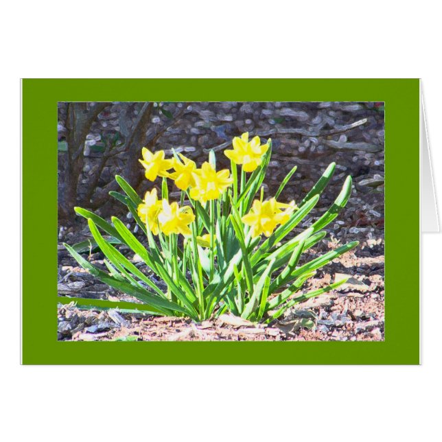 Mini-Daffodil-Karte (Vorderseite (Horizontal))