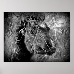 Mini Filly ist Onery Poster