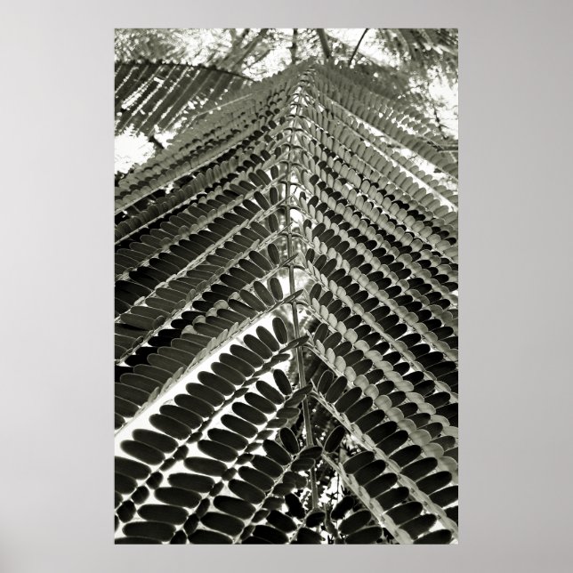 mini folhas poster (Vorne)