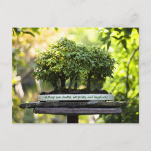 Mini-Grünwald Bonsai Pot Pedestal Blätter Postkarte