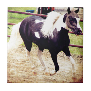 Mini Horse bei Liberty Fliese