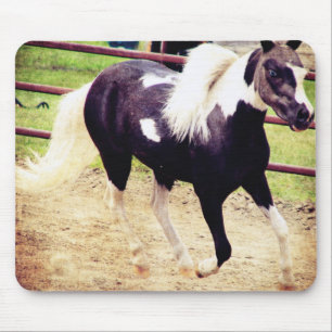 Mini Horse bei Liberty Mousepad