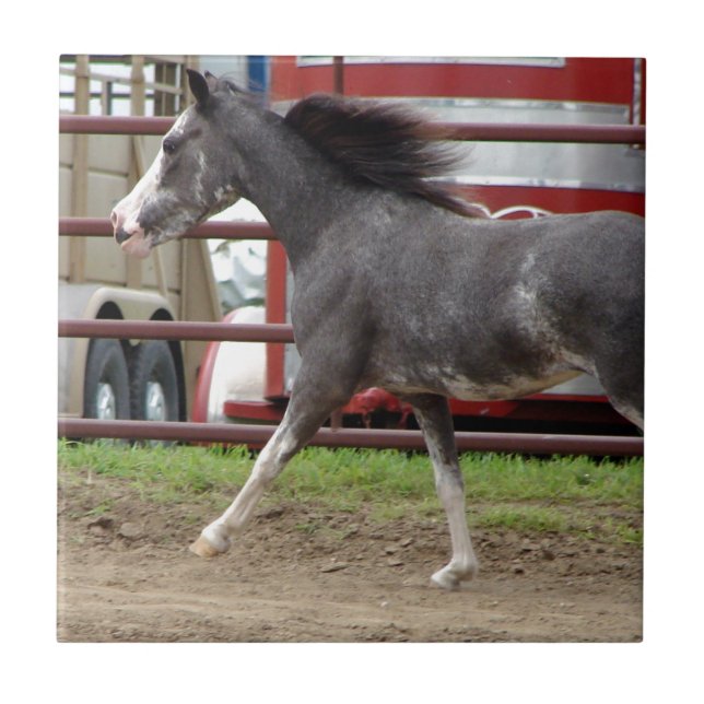 Mini Horse in Liberty Class Fliese (Vorderseite)