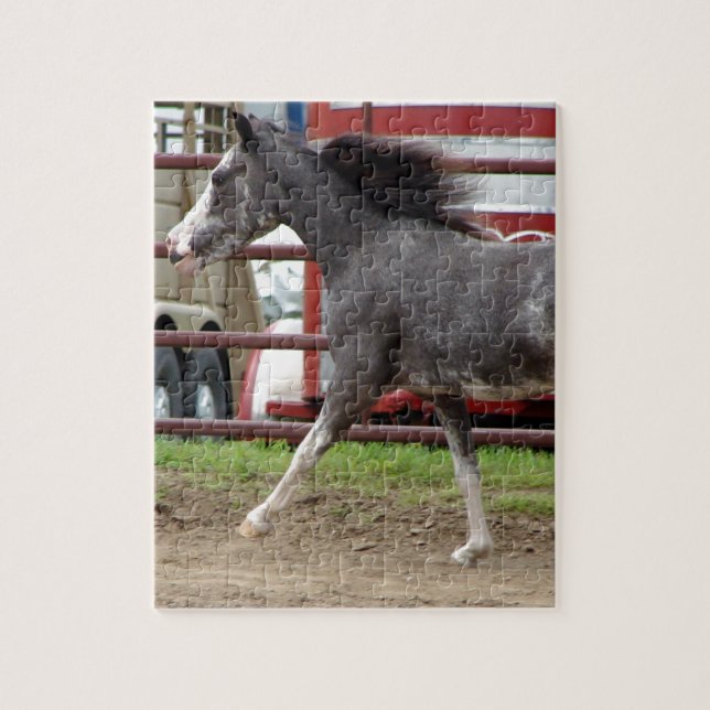 Mini Horse in Liberty Class Puzzle (Vertikal)