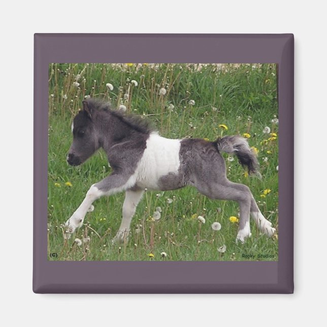 Mini Horse Magnet (Vorne)