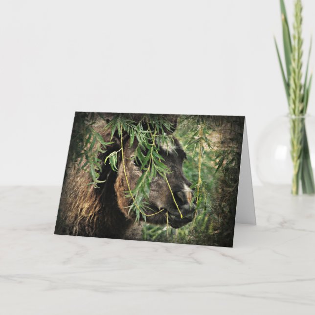 Mini ist Onery, Geburtstag Karte (Vorderseite)