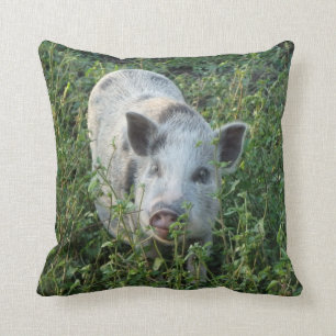 Mini Juliana Pig Kissen