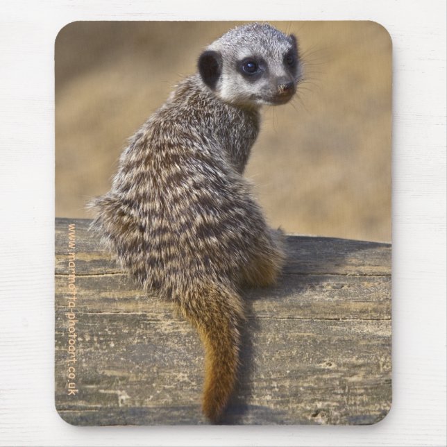 Mini Kat Mousemat Mousepad (Vorne)