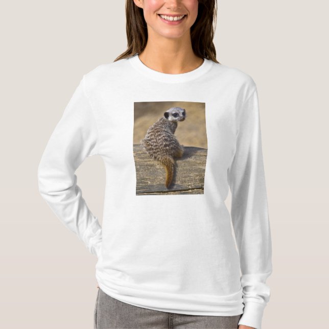 Mini Kat Tee (Vorderseite)