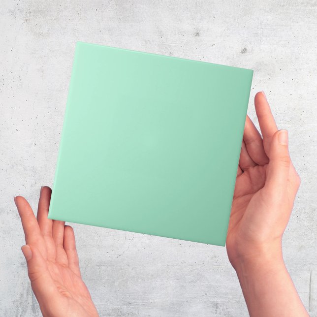 Mini Light Green Vollfarbe schlichte Kachel (aqua mint green ceramic tiles)