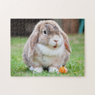 Mini Lop Bunny Rabbit Puzzle