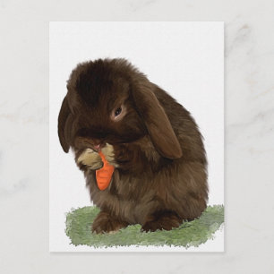 Mini Lop Hasen und Karotten Postkarte