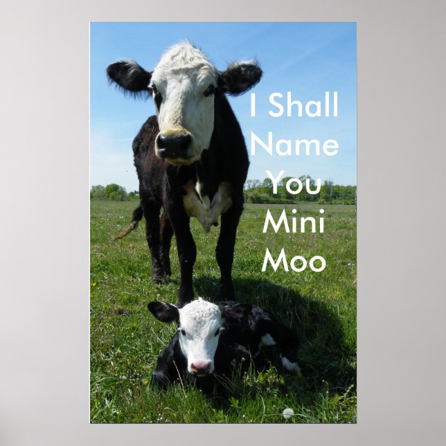 Mini-Moo Poster (Vorne)