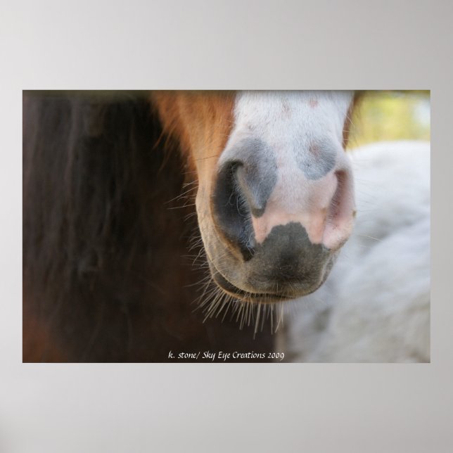 Mini-Nase Poster (Vorne)