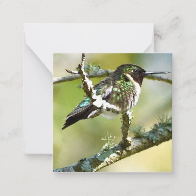 Mini-Notecards von personalisiert Hummingbird Mitteilungskarte (Vorderseite)