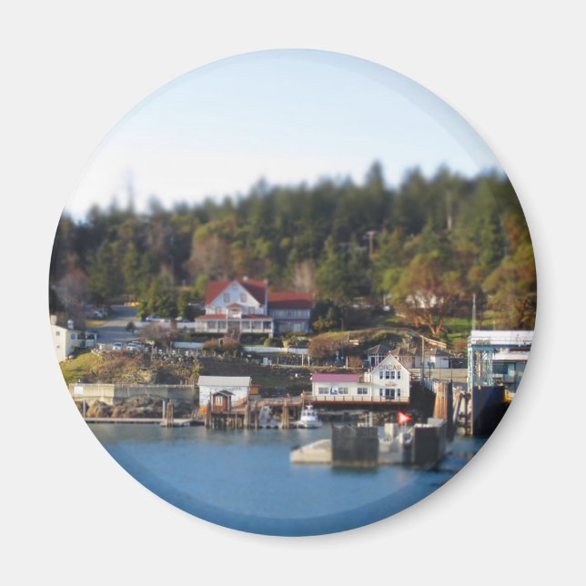 Mini Orcas! Magnet (Vorne)