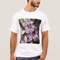 Mini-Orchideen