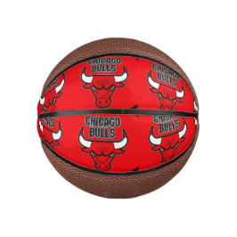 Mini palla da Basketball Chicago Bulls