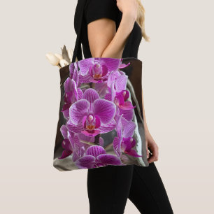 Mini Phalaenopsis Sogo Vivien Lila Orchid Blume