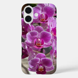 Mini Phalaenopsis Sogo Vivien Lila Orchid Blume iPhone 16 Hülle