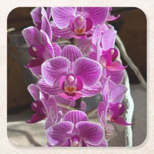 Mini Phalaenopsis Sogo Vivien Lila Orchid Blume Rechteckiger Pappuntersetzer