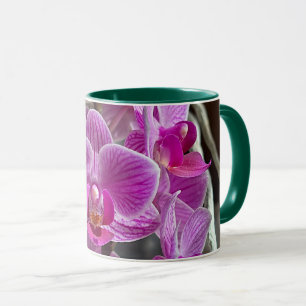 Mini Phalaenopsis Sogo Vivien Lila Orchid Blume Tasse
