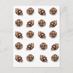 Mini Pine Cones on White Postkarte