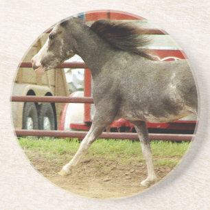 Mini Pinto Horse Gallops Untersetzer