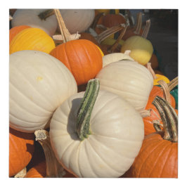 Mini Pumpkins so farbenfroh Künstlicher Leinwanddruck