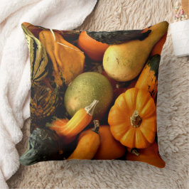 Mini Pumpkins und Gourds Sortiment Fall Foto 2 Kissen