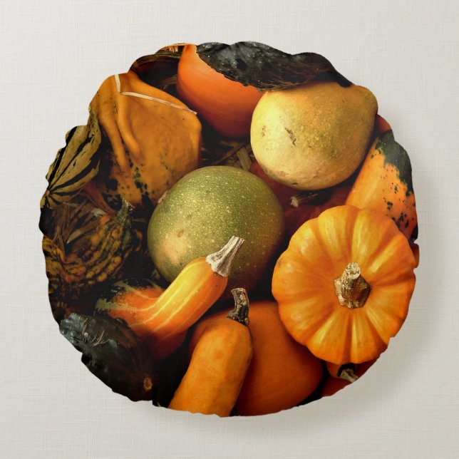 Mini Pumpkins und Gourds Sortiment Fall Foto 2 Rundes Kissen (Vorderseite)