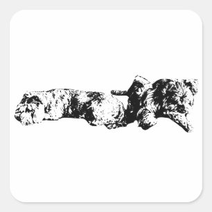 Mini-Schnauzer-Duo – Fetter Schwarz-Weiß-Aufkleber Quadratischer Aufkleber