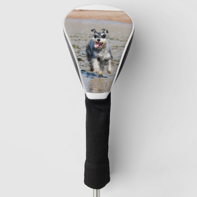 Mini-Schnauzer Golf Headcover (Vorderseite)