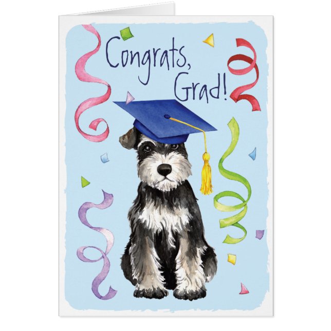 Mini Schnauzer Graduate (Vorne)