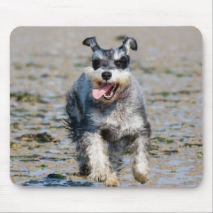 Mini-Schnauzer Mousepad