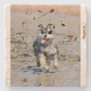 Mini-Schnauzer Steinuntersetzer