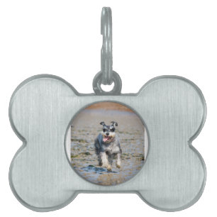 Mini-Schnauzer Tiermarke