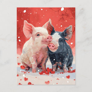 Mini-Schweine Valentinstag Postkarte