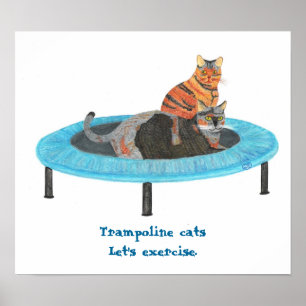 Mini Trampolin Katzen, lass uns Poster ausüben