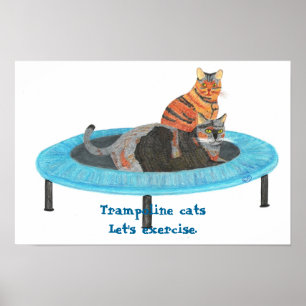 Mini Trampolin Katzen, lass uns Poster ausüben