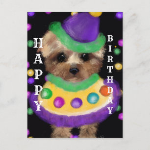 MINI YORKIE POO POSTKARTE