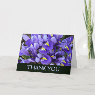 Miniatur Blaue Schwertlilien Frühlingsblumen Dankeskarte